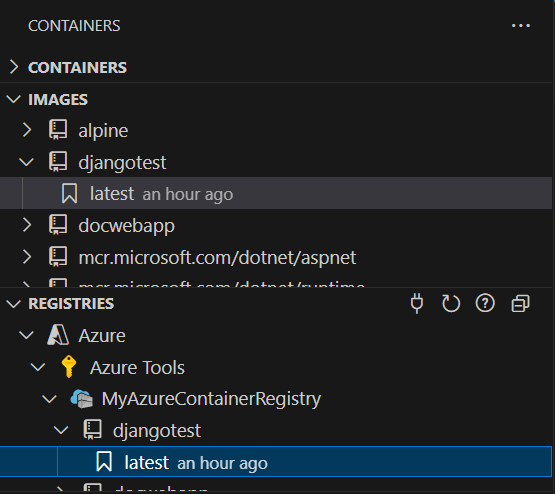 The built app image in the Azure Container Registry