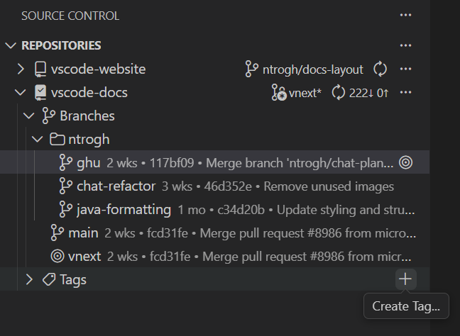 Screenshot showing the Repositories explorer with branches and tags for a single selected repository.